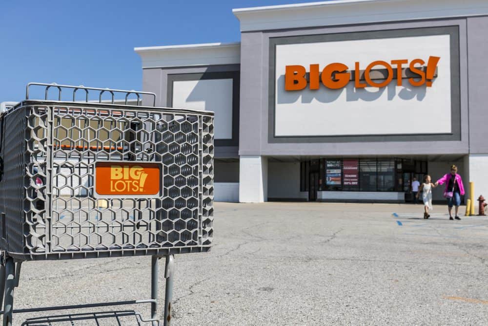 From Bed Bath & Beyond to Best Buy: What the Closure of Major Retail Chains Means for Consumers 2 Big Lots